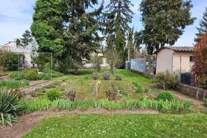 Sanierung oder Neubau - Wohn- und Geschäftshaus mit traumhaftem Sonnengrundstück – Rhein-Neckar-Kreis – Vorschaubild 17