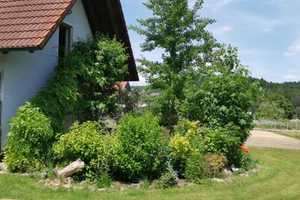 Renditeobjekt auf dem Lande 6 Wohneinheiten Reiterhof – Kastl, Amberg-Sulzbach (Kreis), 92280 Amberg-Sulzbach (Kreis) – Vorschaubild 4