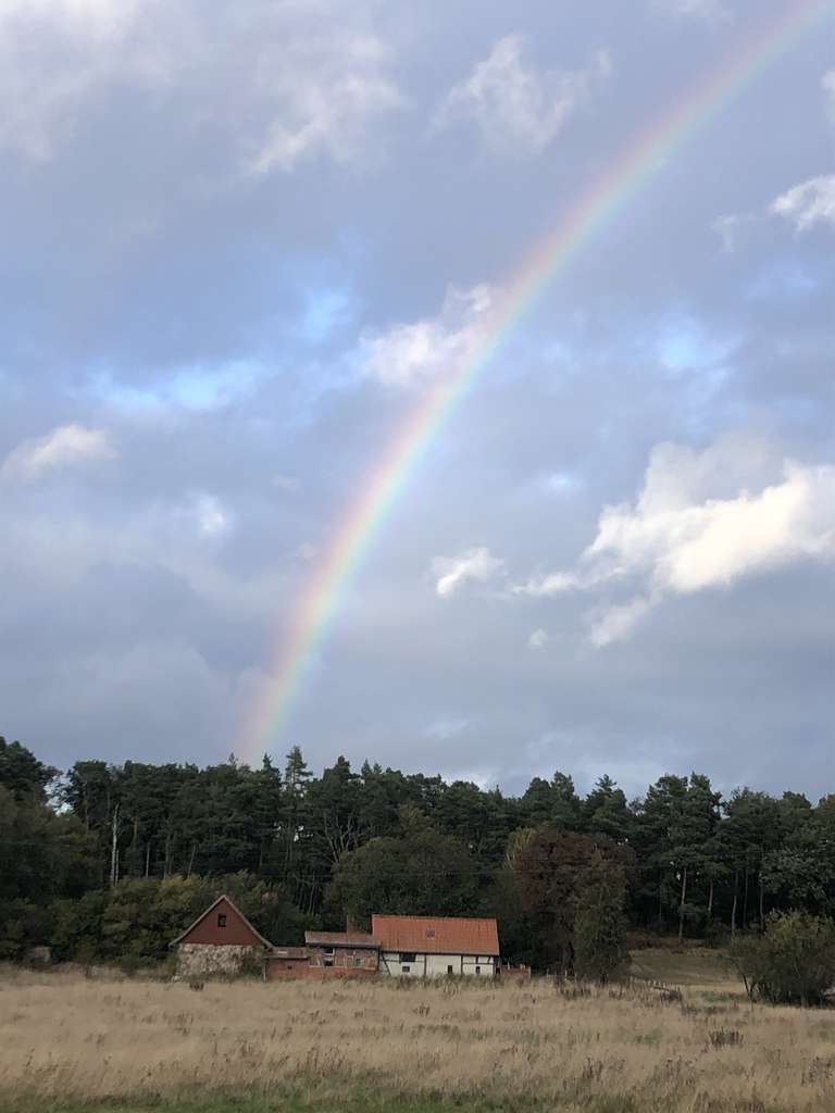 Immobilie in Putlitz - Anwesen in Alleinlage, 18,6 ha arrondiert - Bild 0