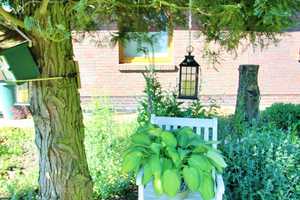 Wohnidyll - Dreifamilienhaus  mit verbundenem Bungalow & traumhaftem Garten - Anlage - Seckenhausen – Diepholz (Kreis) – Vorschaubild 20