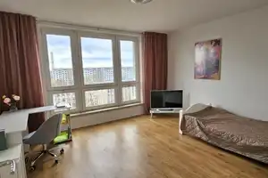 Property thumbnail 19