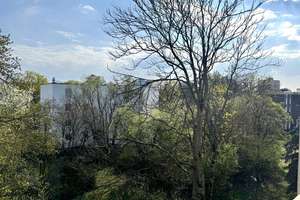 3,5 ZKBB-Wohnung mit PKW-Stellplatz  – Die vollständige Adresse der Immobilie erhältst du vom Anbieter., 68309 Vogelstang, Mannheim – Vorschaubild 11