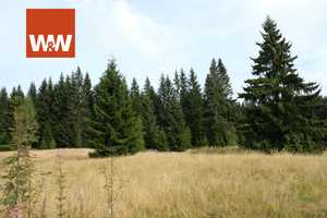 Naturparadies am Fuße des Auersbergs – Ein- bis Zweifamilienhaus mit großem Grundstück – Erzgebirgskreis – Vorschaubild 13