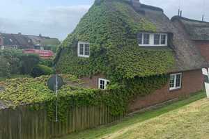 Halbinsel Nordstrand - Romantisches Reetdachhaus direkt am Deich: IHR NEUES FERIENHAUS ! – Nordfriesland (Kreis) – Vorschaubild 3