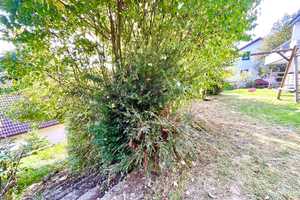 Provisionsfrei! Schmuckstück Nagolds! Einfamilienhaus mit Garage, großen Balkon, DG & ELW – Bonhoefferstraße 18, Nagold, Calw (Kreis), 72202 Calw (Kreis) – Vorschaubild 64