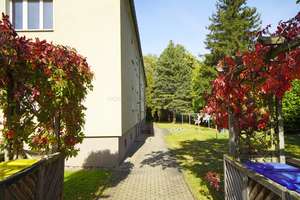 !! Grün und Ruhig Wohnen !! Helle 2-Zimmer-Wohnung mit Einbauküche und Tageslichtbad – Rilkestraße 76, 9114 Borna-Heinersdorf, Chemnitz – Vorschaubild 13