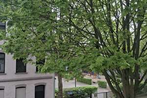KR- West:  Geräumige Altbauwhg. im 1. OG in einer Seitenstraße gelegen, kleines Gartenstück möglich! – Die vollständige Adresse der Immobilie erhältst du vom Anbieter., 47803 Kempener Feld/Baackeshof, Krefeld – Vorschaubild 4