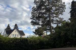 Freistehendes Einfamilienhaus in Darmstadt-Bessungen – 64285 Bessungen, Darmstadt – Vorschaubild 13