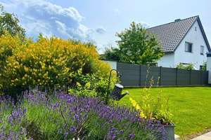 Modernes Wohnen mit Garten, Terrasse und Platz für Alle - Hunde herzlich willkommen – 53757 Sankt Augustin – Vorschaubild 24