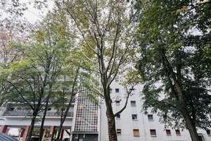 * Bezugsfrei  mit Balkon * – 13409 Reinickendorf (Ortsteil), Berlin – Vorschaubild 10