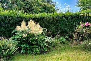 Viel Raum und Garten für Ihre Wünsche – Die vollständige Adresse der Immobilie erhältst du vom Anbieter., 24106 Wik, Kiel – Vorschaubild 13