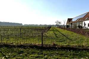 * Verkauf aus Insolvenz * stark sanierungsbedürftiger Bauernhof * GRD ca. 21.014 m² * gegen Gebot * – Kleve (Kreis) – Vorschaubild 4