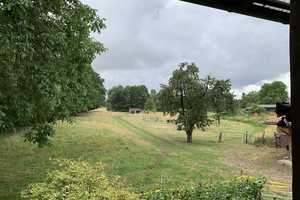 Generationswohnen mit Atelier, umgeben von Auewiesen ein Paradies  für Mensch u. Tier auf 30.000m²  – Nienburg (Weser) (Kreis) – Vorschaubild 12