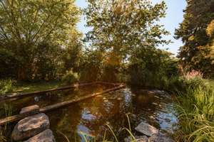 Bezugsfreies Zweifamilienhaus mit Schwimmteich, Wintergarten und parkähnlichem Grundstück – 33729 Heepen, Bielefeld – Vorschaubild 32