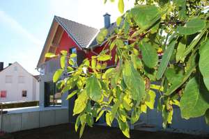 OH-129-25 Einfamilienwohnhaus in Neukirchen-Balbini zu Vermieten – Die vollständige Adresse der Immobilie erhältst du vom Anbieter., 92445 Neukirchen-Balbini – Vorschaubild 1