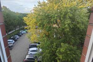 Gepflegte 2-Zimmer-Wohnung in Münster Gievenbeck – 48161 Gievenbeck, Münster – Vorschaubild 10