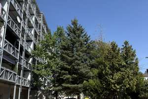 Großzügige 2-Zimmer-Wohnung mit XXL-Loggia, Aufzug und viel Potenzial in zentraler Lage von Offenbac – 63067 Messehalle, Offenbach am Main – Vorschaubild 2