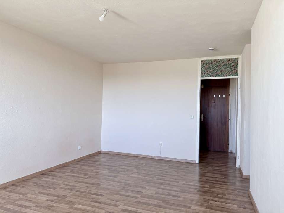 Immobilie in Umkirch - Single Wohnung in Umkirch bei Freiburg mit herrlichen Weitblick - Bild 3