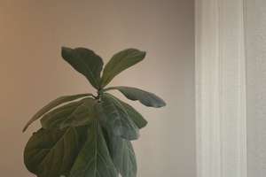 Property thumbnail 22