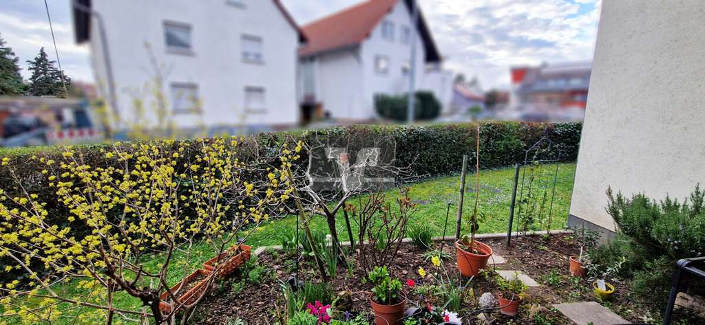 Immobilie in Ilvesheim - Solide Kapitalanlage in Ilvesheim:
Attraktive EG-Wohnung mit TG-Stellplatz! - Bild 2