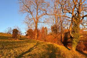 Paradies für Familien und Gartenliebhaber - top Aussichtslage Achalm – Die vollständige Adresse der Immobilie erhältst du vom Anbieter., 72766 Reutlingen-Mitte, Reutlingen – Vorschaubild 27