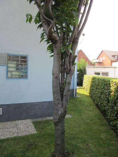 Garten 2 Garten 2
