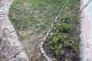 Helle Doppelhaushälfte mit kleinem Garten – Die vollständige Adresse der Immobilie erhältst du vom Anbieter., 74575 Schrozberg – Vorschaubild 32