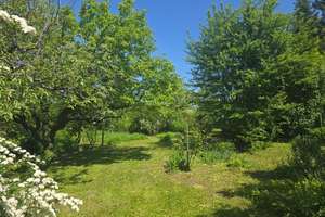 Massives Wohnhaus auf 1.015 m² Gartenparadies – Die vollständige Adresse der Immobilie erhältst du vom Anbieter., 79379 Müllheim – Vorschaubild 13
