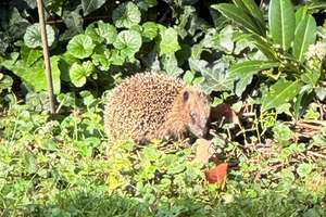 Property thumbnail 12