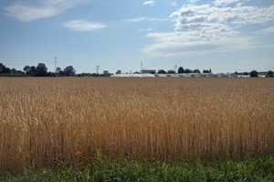 Property thumbnail 16