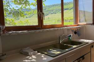 Natur pur - Großes EFH am Ortsrand - Nähe Trier und Luxemburg – Beim Weinskreuz 1, 54340 Leiwen – Vorschaubild 18