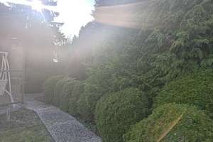 Property thumbnail 34