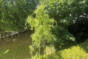 Charmante Maisonettewohnung mit Balkon und Gartenmitnutzung in Niedermendig – Die vollständige Adresse der Immobilie erhältst du vom Anbieter., 56743 Mendig – Vorschaubild 18