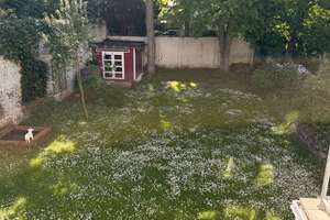 Zuhause mit viel Platz in Köln-Braunsfeld – Die vollständige Adresse der Immobilie erhältst du vom Anbieter., 50933 Braunsfeld, Köln – Vorschaubild 4