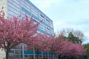 SAM Studio Apartments: Möbliertes 1  Zimmer Apartment in modernstem Zustand direkt an der Isar! – Schäftlarnstr. 135, 81371 Thalkirchen, München – Vorschaubild 15