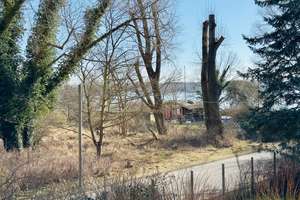 Property thumbnail 4