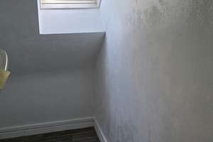 Mitten in der Nordstadt... – Paulstraße 20, 30167 Nordstadt, Hannover – Vorschaubild 5