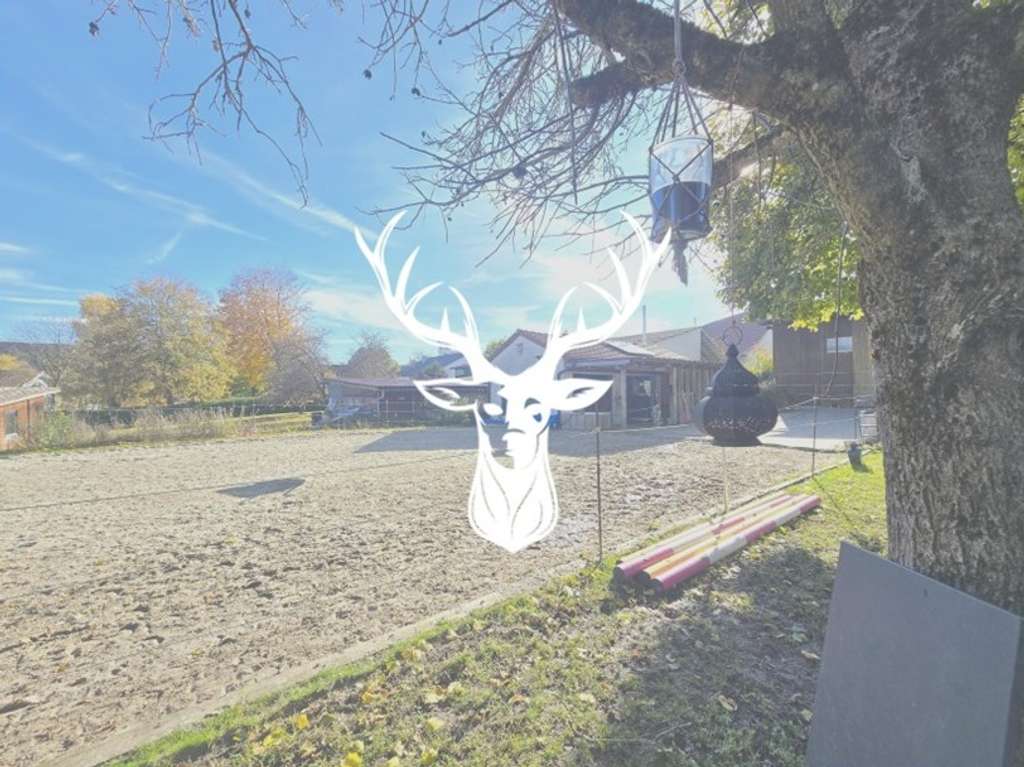 Immobilie in Leibertingen - Stilvoller Pferdehof mit flexiblem Gewerberaum, zwei Wohnungen und 1,3 ha arrondierter Fläche - Bild 0