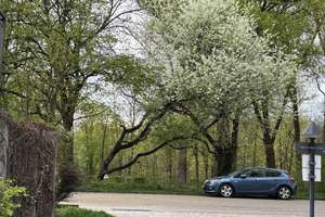 Reserviert - Gartenoase am Lech - Attraktive Gartenwohnung in Augsburg-Hochzoll – Die vollständige Adresse der Immobilie erhältst du vom Anbieter., 86163 Hochzoll-Nord, Augsburg – Vorschaubild 16