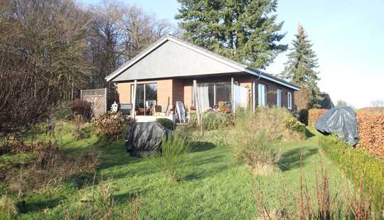 Bild von Idylle pur im Naturpark Aukrug: Kleines Haus auf wunderschönem Grundstück