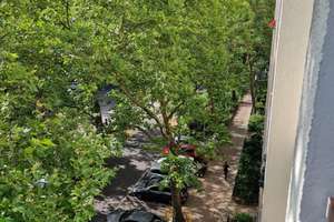Sehr helle  2-Zi.-Whg.,  saniert, mit EBK,  4. OG mit Aufzug, Balkon, Blick ins Grüne , Kudamm-Nähe – Albrecht-Achilles-Straße 6, 10709 Wilmersdorf, Berlin – Vorschaubild 22