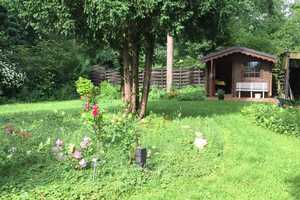 freistehendes Einfamilienhaus am Stadtwald – Gifhorn (Kreis) – Vorschaubild 1