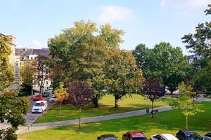 MEGA -》JOSEPHINENSTR. 1 / VIDEO / CITY+UNI NAH, EINBAUKÜCHE INKL, PKW-STELLPLATZ !! – Die vollständige Adresse der Immobilie erhältst du vom Anbieter., 9113 Zentrum, Chemnitz – Vorschaubild 7