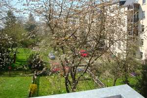 EBK zum Abkauf - Überdachter Süd-West-Balkon mit Blick ins Grüne – Helmholtzstraße 39, 9131 Hilbersdorf, Chemnitz – Vorschaubild 10