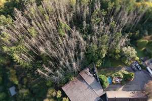 Wohnen im Grünen: Zweifamilienhaus mit eigenem Wald und vielseitiger Lagerhalle – Die vollständige Adresse der Immobilie erhältst du vom Anbieter., 42349 Cronenberg, Wuppertal – Vorschaubild 21