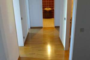 Ruhiglage in Holweide: Familiengerechte Drei-Zimmerwohnung mit großer Loggia – 51067 Holweide, Köln – Vorschaubild 8