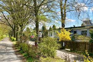 Charmanter Reihenbungalow mit Südterrasse und schönem Garten in ruhiger Lage von Lankwitz – Die vollständige Adresse der Immobilie erhältst du vom Anbieter., 12249 Lankwitz, Berlin – Vorschaubild 3