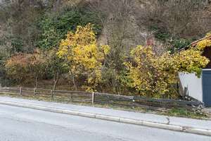 Großzügiges Einfamilienhaus mit sonniger Rundum-Terrasse, Garten und Doppelgarage in Hacklberg! – Die vollständige Adresse der Immobilie erhältst du vom Anbieter., 94034 Hacklberg, Passau – Vorschaubild 4