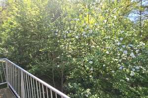 # 3 HÄUSER AUF ÜBER 5.300QM² BAULAND, GÜNSTIGSTER PREIS,OHNE WENN UND ABER # – Wennerstorfer Kirchweg -, 21279 Wenzendorf – Vorschaubild 27