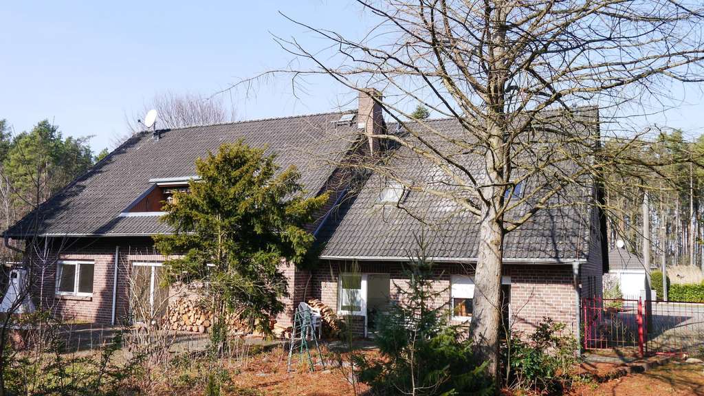 Immobilie in Kolkwitz - Viel Platz für Ihre Wohnideen im Grünen - Bild 1